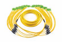 72 fiber Standard Distribution Patch Cord