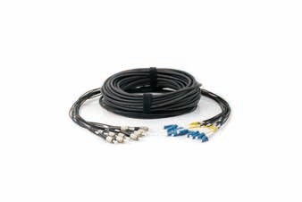 12 fiber Standard Distribution Patch Cord