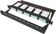 Type C 1U MPO/MTP Rack Mount Enclosure