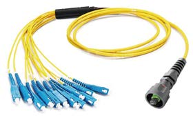 Indoor ODVA-MPO Fanout Patch Cord - 12 fiber MPO/MTP to SC