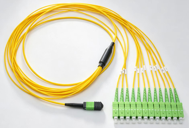 MTP®/MPO to SC Harness