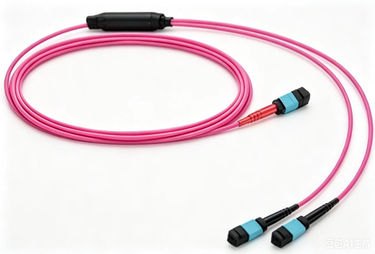 OM4 MPO/MTP® 24fiber 1x2 Fanout Hybrid Patch cord