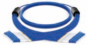 Multi-fiber Armored Patch Cord