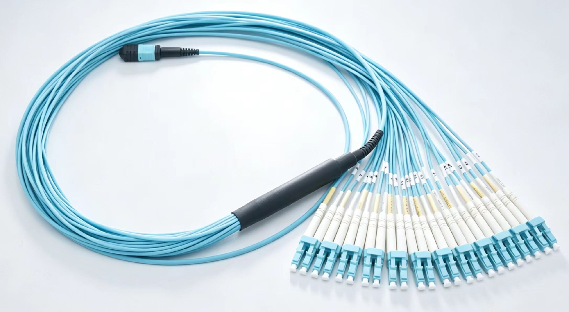 a27ee64d-527b-405d-866f-e59ebc6d1daf.jpg